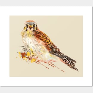 Watercolor Kestrel Wildlife Bird Nature Art Posters and Art